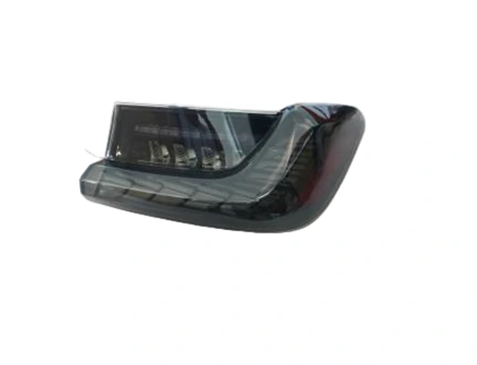 Dragon Scale Taillight for BMW New 3 Series G20/G28